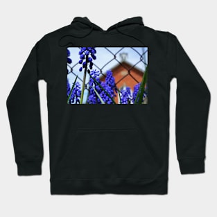 Grape Hyacinth at the Red Brick Schoolhouse Hoodie